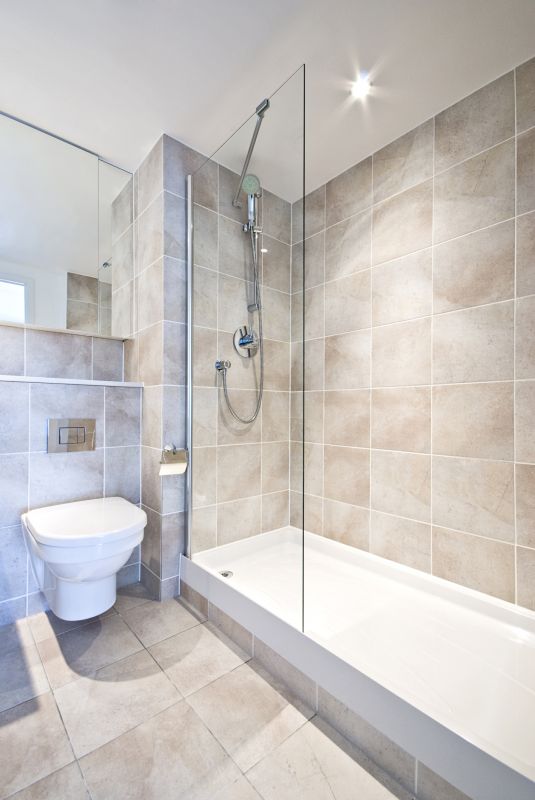 Contemporary Shower Area
